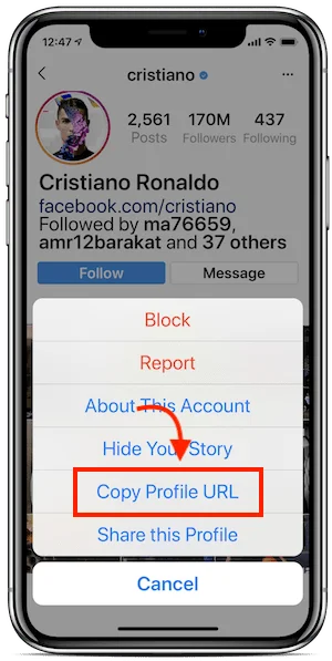 descargar foto perfil instagram iphone